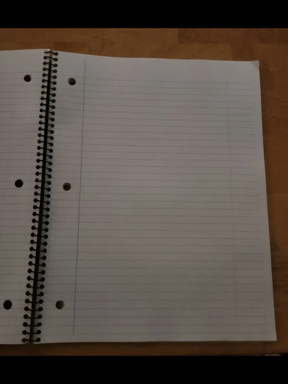Vintage Disney University Cast Member Notebook